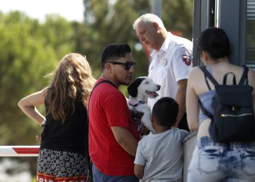 La prohibición de sacrificar mascotas desborda la perrera municipal La prohibición de sacrificar mascotas desborda la perrera municipal