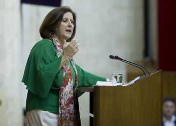 La ley andaluza de discapacidad obliga a reservar un 1% de empleo público a enfermos mentales La ley andaluza de discapacidad obliga a reservar un 1% de empleo público a enfermos mentales