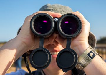 Vuelve la feliz emigración al sur de los ‘birdwatchers’ Vuelve la feliz emigración al sur de los ‘birdwatchers’
