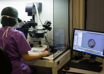 Más de 1.400 profesores e investigadores firman un manifiesto a favor del ‘sí’ Más de 1.400 profesores e investigadores firman un manifiesto a favor del ‘sí’