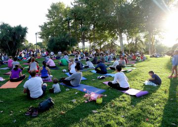 Yoga bajo los árboles Yoga bajo los árboles
