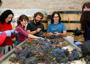 Enamorados de la garnacha