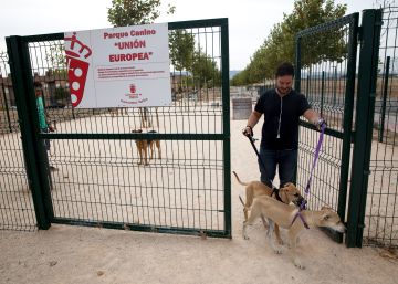 La nueva ordenanza de limpieza de Madrid obligará a registrar el ADN de los perros