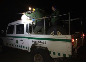Un cazador mata a otro al disparar contra una manada de jabalíes en Viladasens Un cazador mata a otro al disparar contra una manada de jabalíes en Viladasens