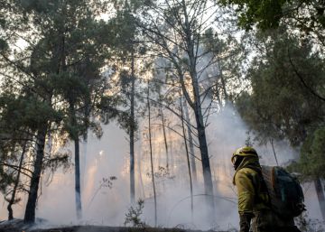 Ecologistas denunciarán a la Xunta ante la UE por el desastre ambiental en O Xurés