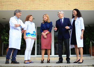Nace el tercer bebé andaluz en salvar a su hermano de una enfermedad sanguínea Nace el tercer bebé andaluz en salvar a su hermano de una enfermedad sanguínea