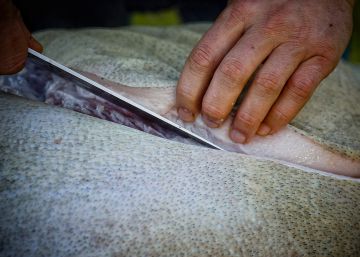 El ‘obispo’, la sobrasada