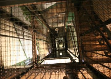 Un matrimonio y sus dos hijas, heridos tras caer un ascensor en la Nochebuena en Madrid
