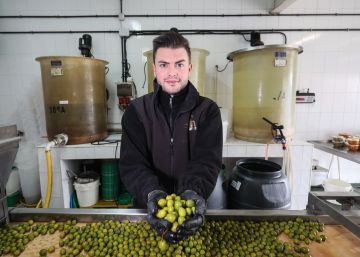 Un aliño de dos siglos para la aceituna de Campo Real