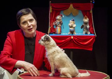 El meravellós i il·lustrat circ d’Isabella Rossellini
