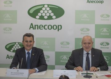 Anecoop facturó 663 millones y comercializó 835.000 toneladas la pasada campaña