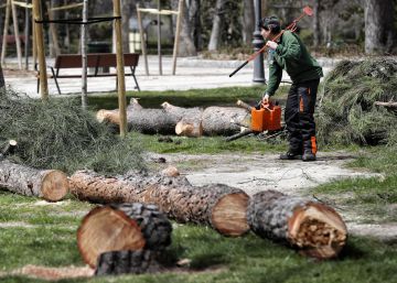 El Ayuntamiento tala 82 árboles del Retiro tras el temporal de viento y lluvia