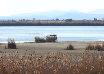 Lluvia de millones por renunciar a la caza en un parque natural