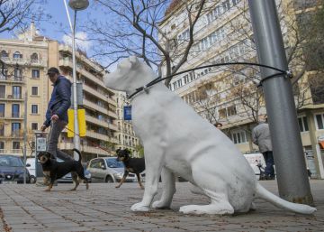 Barcelona instal·la 20 estàtues de gossos per fomentar l’adopció de mascotes