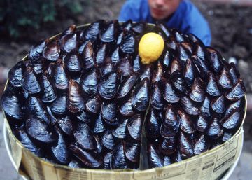 39 afectados por intoxicación tras consumir mejillones en un hotel de Xàbia