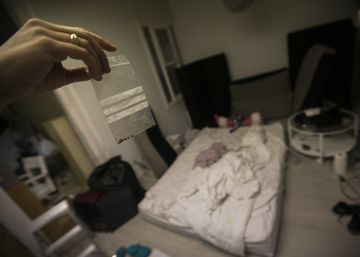 Aumentan un 50% las invasiones de chinches
