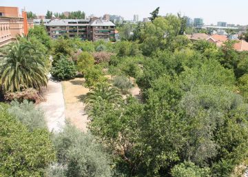 El PSOE pide al Ayuntamiento proteger el jardín de las Apostólicas