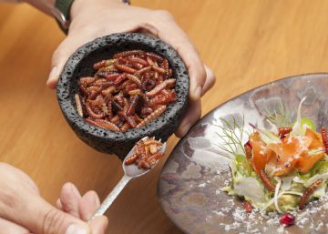 Los insectos ponen a prueba nuestra sensibilidad culinaria