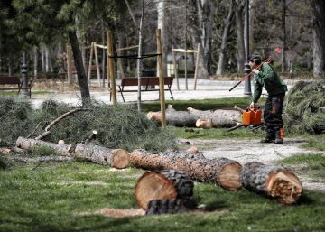 La Justicia investiga de oficio la muerte en El Retiro de un niño por la caída de un árbol