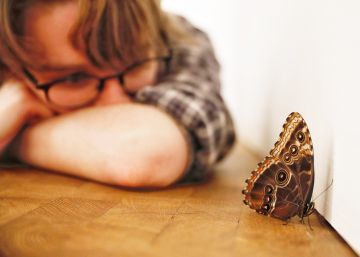 La mariposa azul ya vuela en la Tàpies