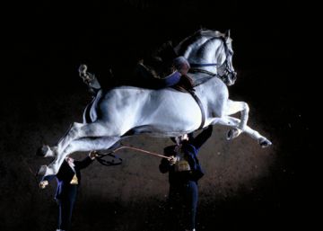 Danza equina en Aranjuez