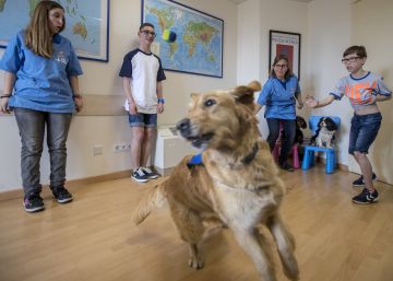 Vall d’Hebron prova una teràpia amb gossos per tractar el trastorn alcohòlic fetal