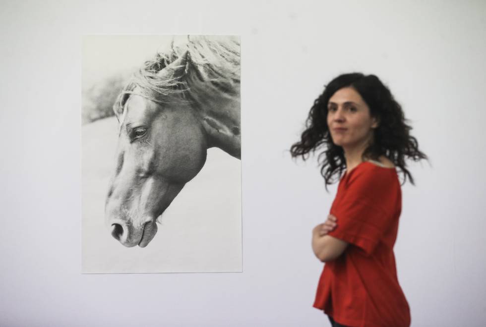 'From Physiologus (Horse), 1995-2017', de Jochen Lempert.