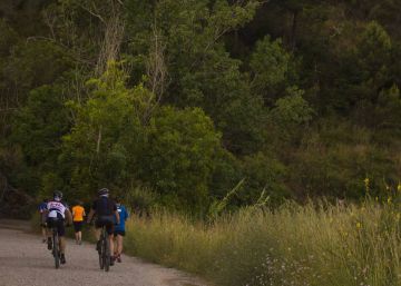 Las lluvias primaverales auguran un verano con poco riesgo de incendios