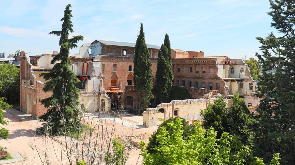 Convento de las Damas Apostólicas. Uno de los cipreses talados estaba en el patio expuesto tras los derribos.