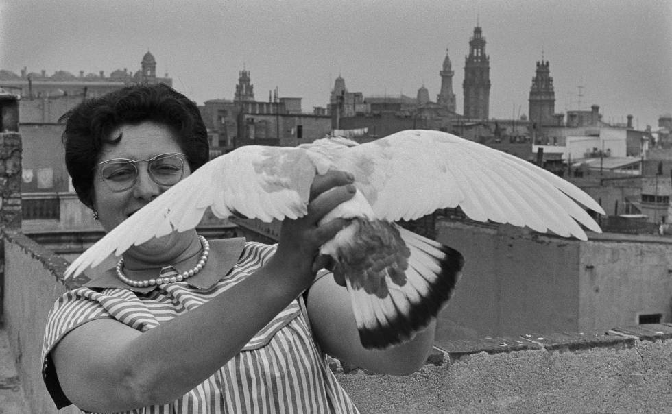 'Felisa', de Carme Garcia (1960).