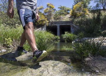 La Fiscalía de Madrid ve delito en los vertidos de aguas fecales en los arroyos en Las Rozas
