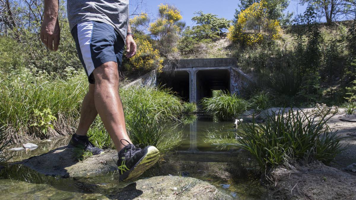El arroyo del Plantío, en Las Rozas, uno de los ocho afluentes que concentra vertidos según el fiscal de Medio Ambiente.