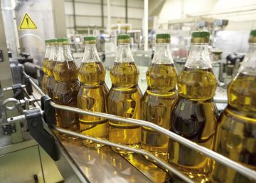 Los Losada Villasante premian trabajos sobre la inmunología, la enfermedad celiaca y el aceite de oliva