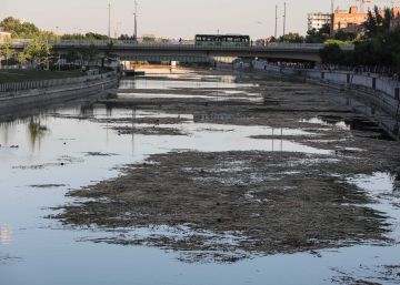 El Ayuntamiento busca otro embalse para los remeros del Manzanares