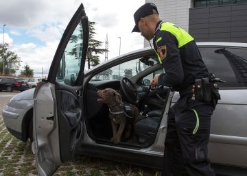 De perros abandonados a agentes de la autoridad