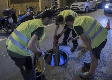 L’estiu és temps d’escarabats