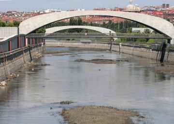 Regeneración exprés en el Manzanares