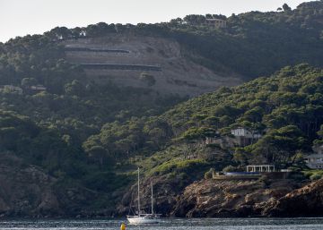 Les escurçanes violetes vistes al litoral català no són perilloses