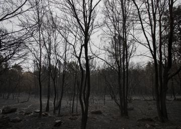 La catástrofe de 2017 empuja a la Xunta a ampliar a octubre la alerta de incendios