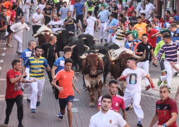 Dos heridos leves en el primer encierro de San Sebastián de los Reyes