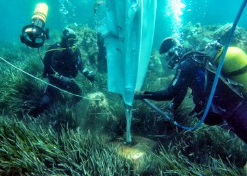 El pulmó mediterrani respira sota l’àncora