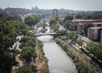 La inesperada recuperación medioambiental del Manzanares