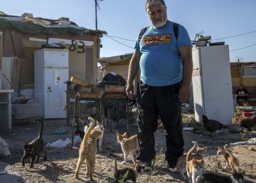 El señor de los 100 gatos se muda hoy a un piso