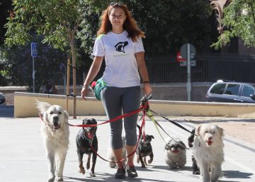 “Deberíamos aprender a sentir como los perros”