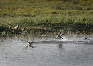Aventura en la desembocadura