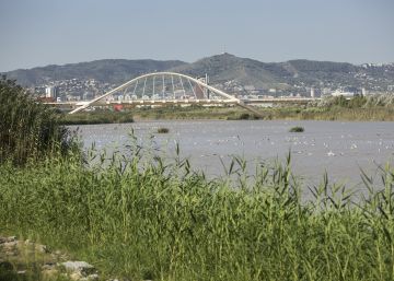 Barcelona es reconcilia amb els seus rius