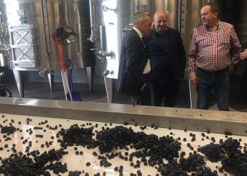 Araex cree que Rioja Alavesa tiene que diferenciarse con vinos de más valor
