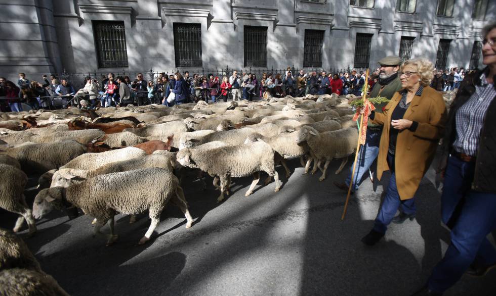 Carmena e Higueras en la fiesta de la transhumancia.