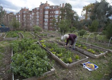 La región suma 455 entidades dedicadas a la economía alternativa
