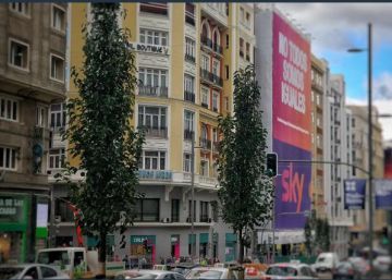 Los nuevos árboles ya lucen en la Gran Vía
